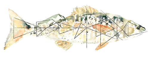 Coastal Creek Design